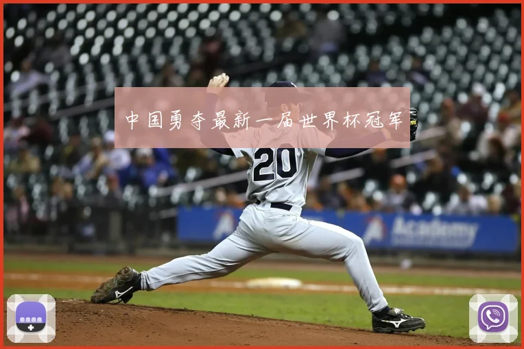 中国勇夺最新一届世界杯冠军