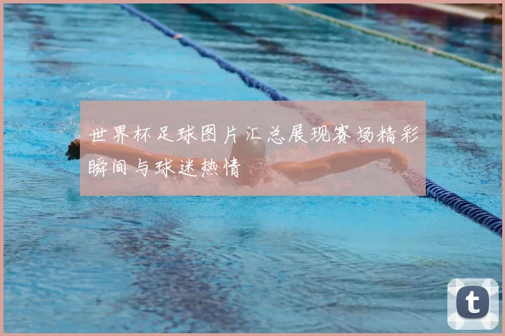 世界杯足球图片汇总展现赛场精彩瞬间与球迷热情