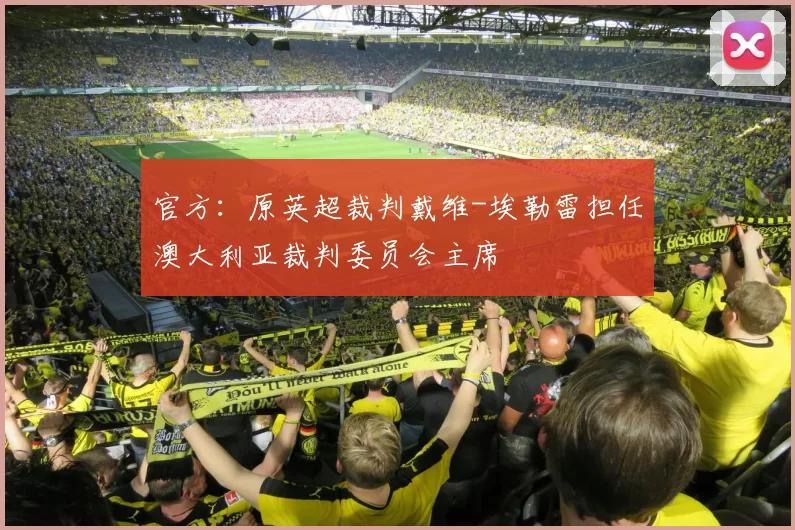 官方：原英超裁判戴维-埃勒雷担任澳大利亚裁判委员会主席