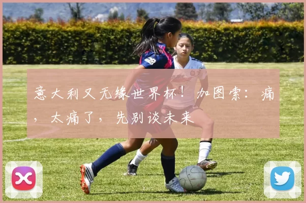 意大利又无缘世界杯！加图索：痛，太痛了，先别谈未来