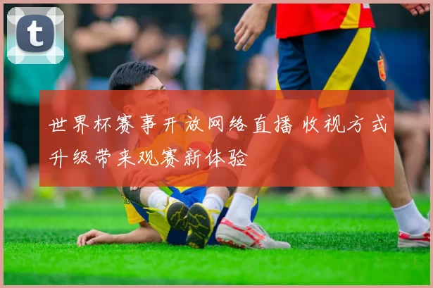 世界杯赛事开放网络直播 收视方式升级带来观赛新体验