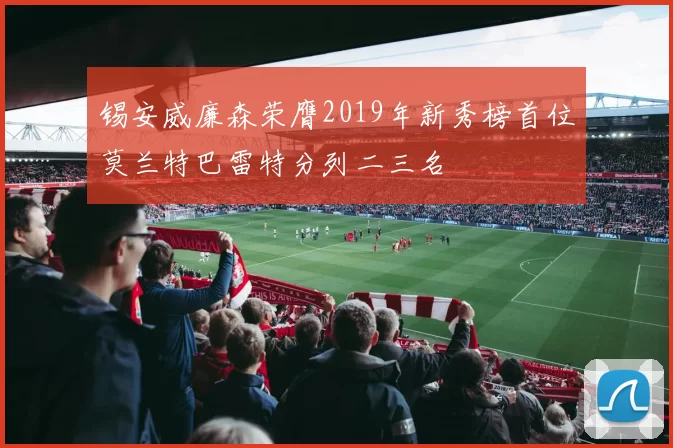 锡安威廉森荣膺2019年新秀榜首位莫兰特巴雷特分列二三名