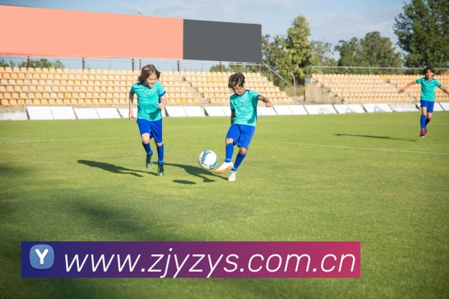 欧冠C罗詹俊，一场激情解说与传奇球星的梦幻碰撞！